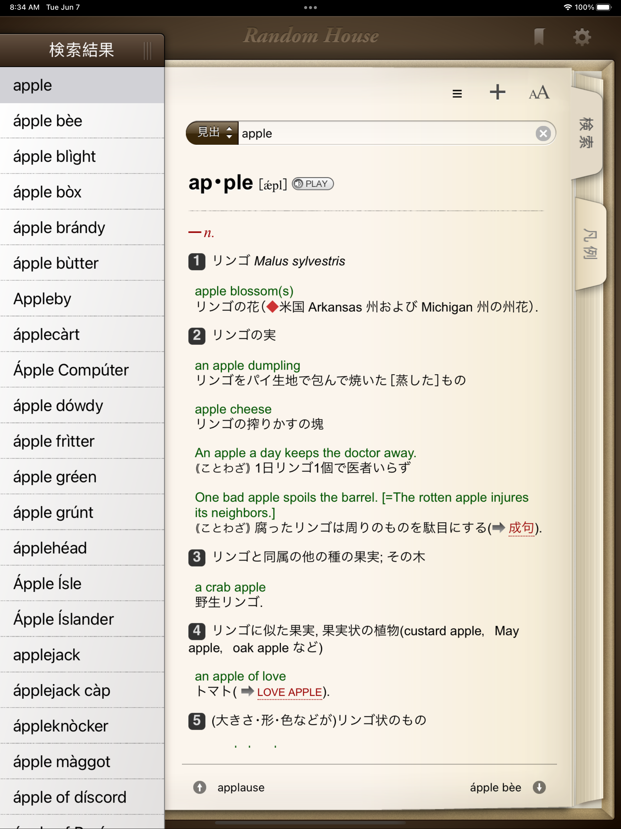 iPad スクリーンショット 1